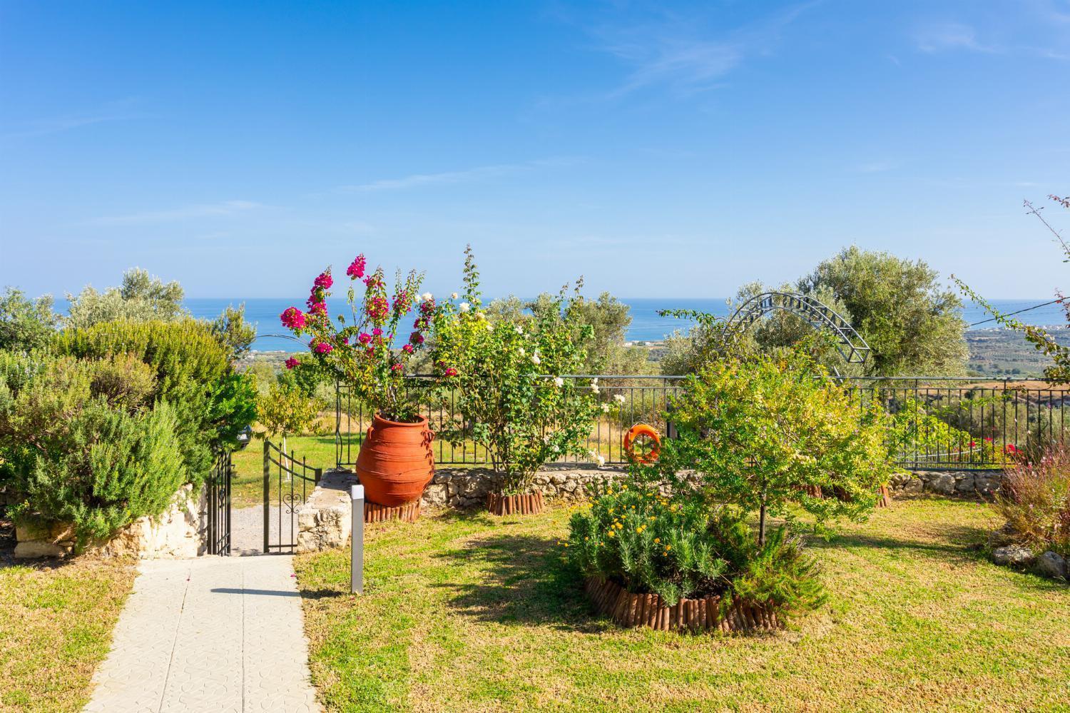 Villa Michalis Xirón Khoríon Exterior foto